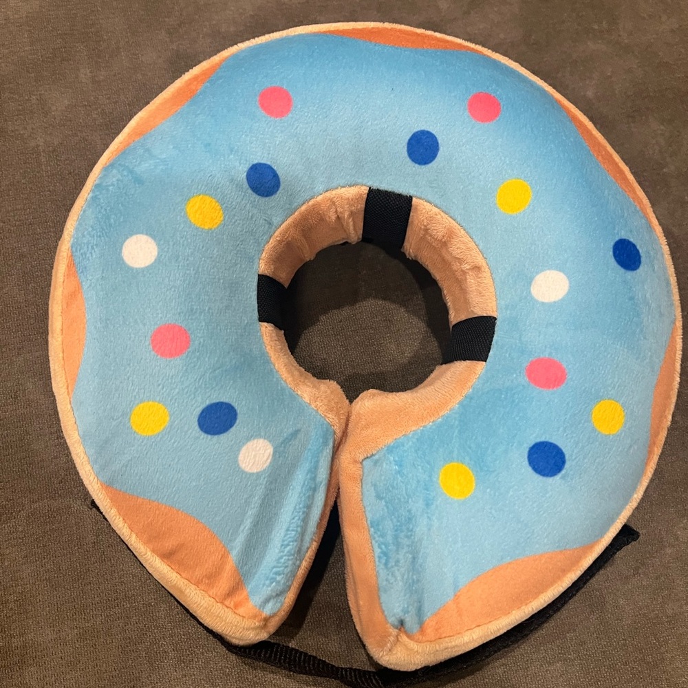 Inflatable pet come for after surgery